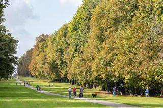 Furzen Farmhouse - Quiet Alternative to a Hotel - 1