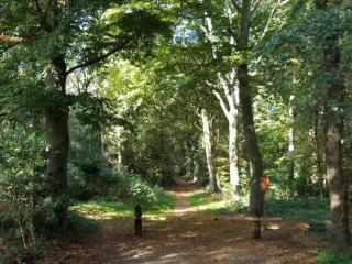 Holiday Home in Oudemirdum by Frisian Lakes - 5