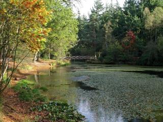 Holiday Home in Oudemirdum by Frisian Lakes - 2