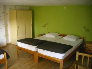 Tranquil Forestside Cottage - 7