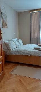 Apartman La Viva Sokobanja - 3
