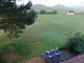 Chalet in La Hoube near Rocher du Dabo - Dabo - 1