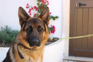 Herdade di Luce SPA - Daporta - 7