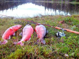 6 person holiday home in Nordli-By Traum - 1