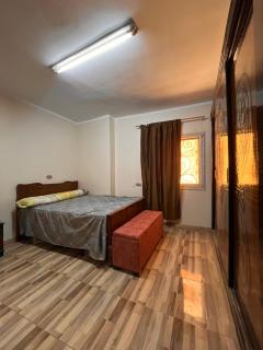 Cozy Room near Pyramids Huge Bed WiFi Shared Areas - 1