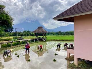 Baan Porhdoi Goidao - 1