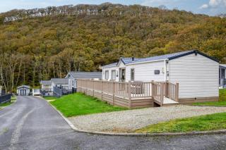 Oak Lodge - New Quay - 9