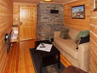 10 person holiday home in Åseral - 1