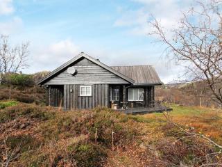 10 person holiday home in ÅSERAL - Åseral - 5