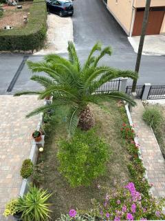 Apartman Marković Sea View - 4