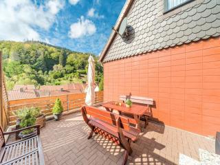 Cozy holiday apartment in Walkenried, district of Zorge - 7