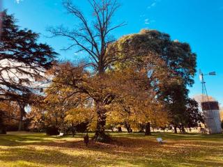 Estancia para más de 20 personas en Chascomus - 9
