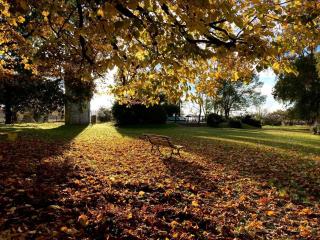 Estancia para más de 20 personas en Chascomus - 5