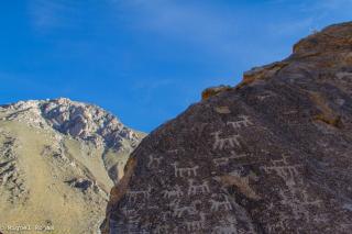 Refugios Pisco Elqui Lodge - 5