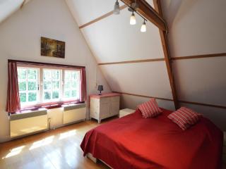 Holiday Home in De Wolden near Forest - Zuidwolde - 8