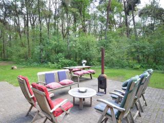 Holiday Home in De Wolden near Forest - Zuidwolde - 6