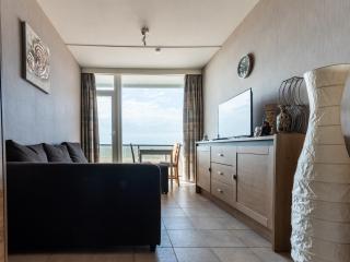 Studio in Ostend with Stunning Sea Views - Ostende - 5