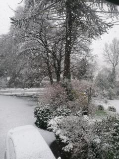The Beeches - Newry - 6