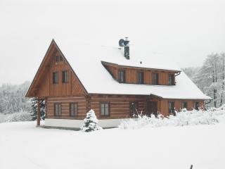 Záhorá Sauna Cottage in Nature - Dlouhý - 1