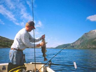 6 person holiday home in Foldereid-By Traum - 5