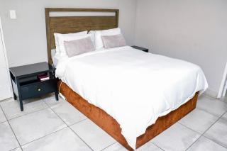 The Palm Pad - Johannesburg - 1