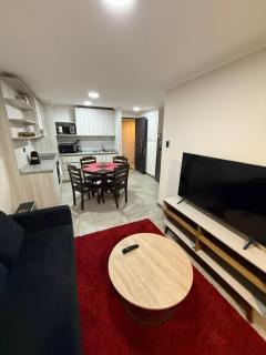 Departamento centro 2D 2B - 0