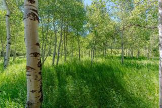 The Aspen House - West Yellowstone - 1