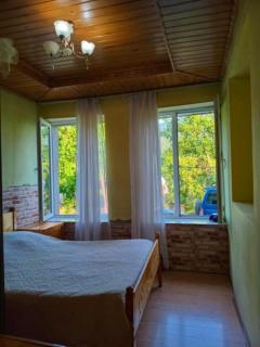 Jantu guest house - 2