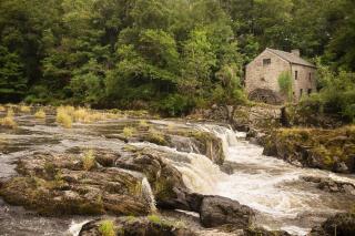 Cysgod Y Felin - Felindre - 2