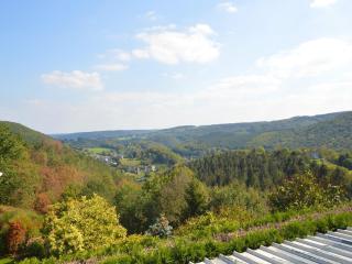 Trooz Villa with Pool & Sauna - 5