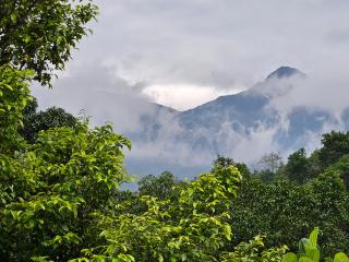 Nutmeg shades Cottage - 7