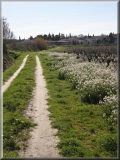 Bastide YSATIS - Coulobres - 9