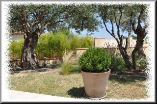 Bastide YSATIS - Coulobres - 2