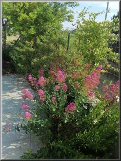 Bastide YSATIS - Coulobres - 1