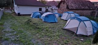 Camping La Ozan - Petreştii de Jos - 4