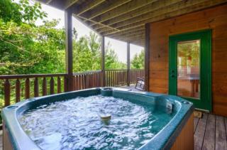 Papa Bear Lodge - Sevierville - 3