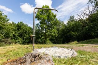 Waldhaus Nitztal - 7
