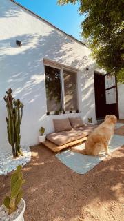 Verda - Dahab - 6