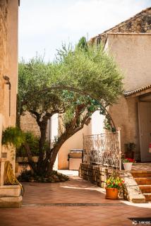 Le Patio Olea - Montfrin - 0