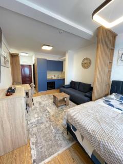 Mujen classic apartman - Kopaonik - 7