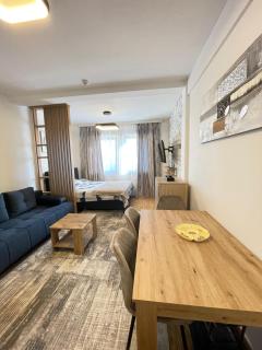 Mujen classic apartman - Kopaonik - 1