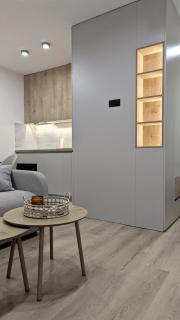 Cozy apartment in Podgorica - 4