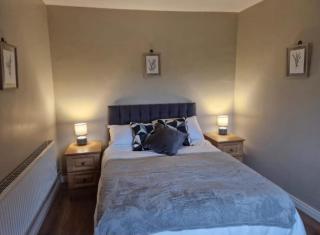 Dan's Cottage - Feevaghmore - 7