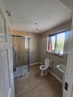 Dan's Cottage - Feevaghmore - 3