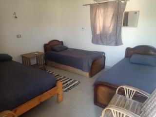 Dream Beach camp - 5