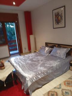 Apartament cu terasa la casa Valentin - 7