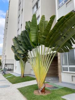 Apto 2 qts em Xerém próximo ao CT do Fluminense - Duque de Caxias - 9