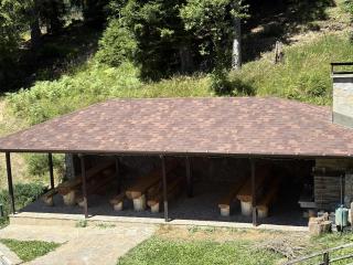 Pine forest apartments - 1