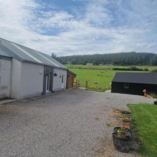 Pleasant Point Holiday Cottages - 7