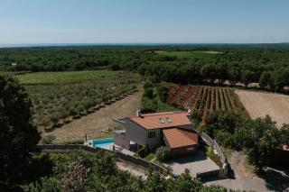 Villa Luisa - Višnjan (Visignano) - 6